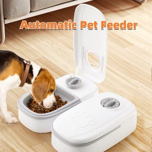 Dispenser For Cats And Dogs Timer Stainless