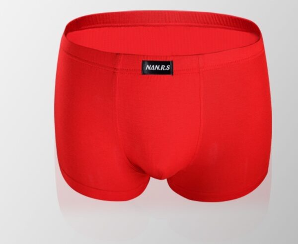 Men's Boxers Midwaist Modal Boxers - Image 3