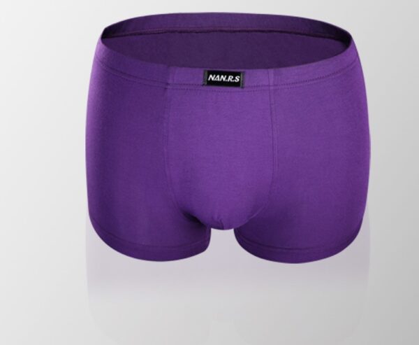 Men's Boxers Midwaist Modal Boxers - Image 4