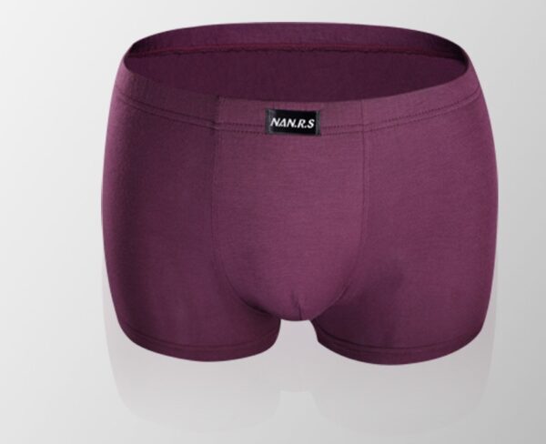 Men's Boxers Midwaist Modal Boxers - Image 7
