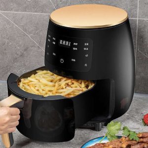 Electric Fryer