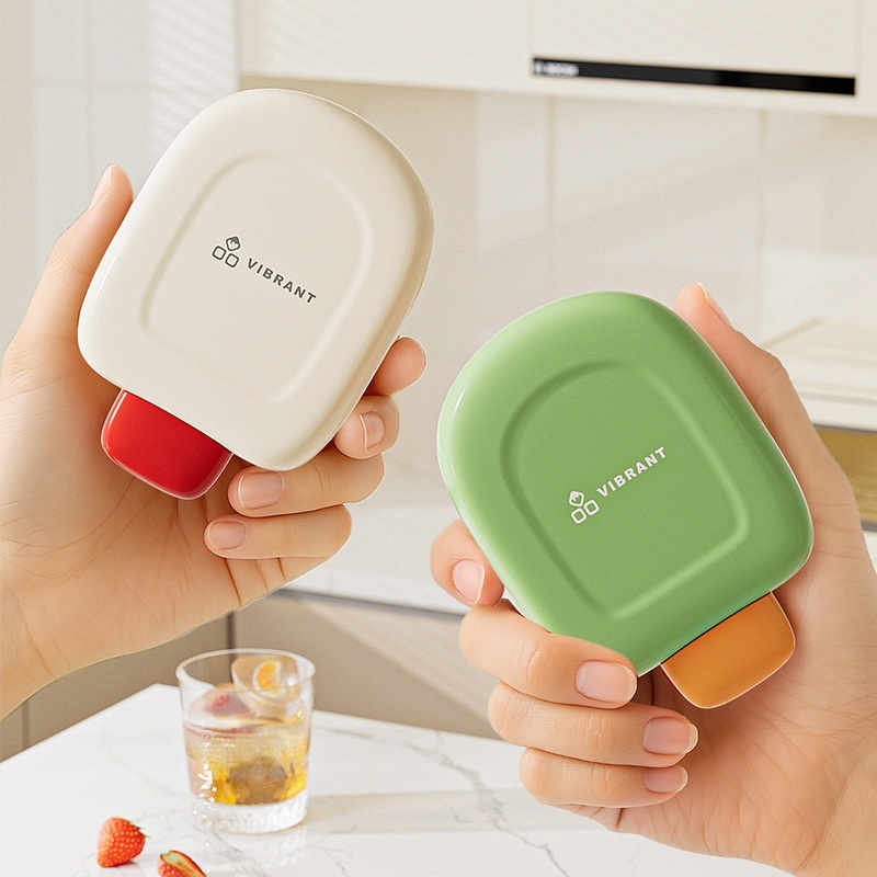 Ice Cube Mold with Storage and Lid