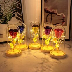 Valentine’s Day Eternal Rose LED Light in Glass Cover — Romantic Gift for Girlfriend